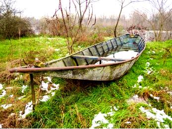 ### Экологические проблемы на водоемах